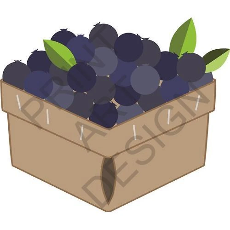 Pint of Blueberries