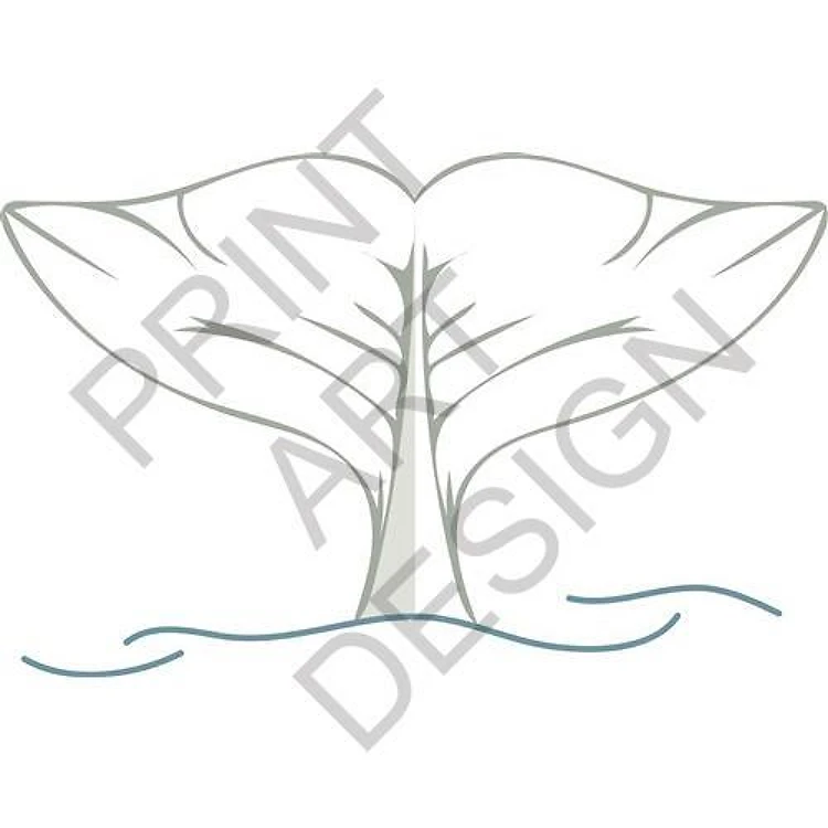 Dolphin Tail