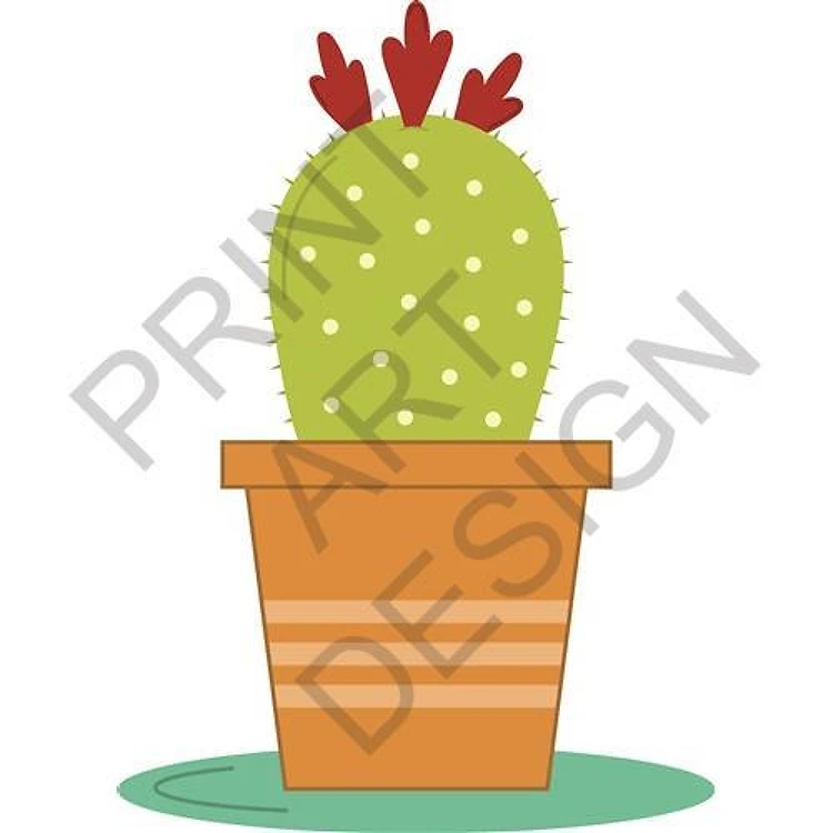 Cactus in a Pot