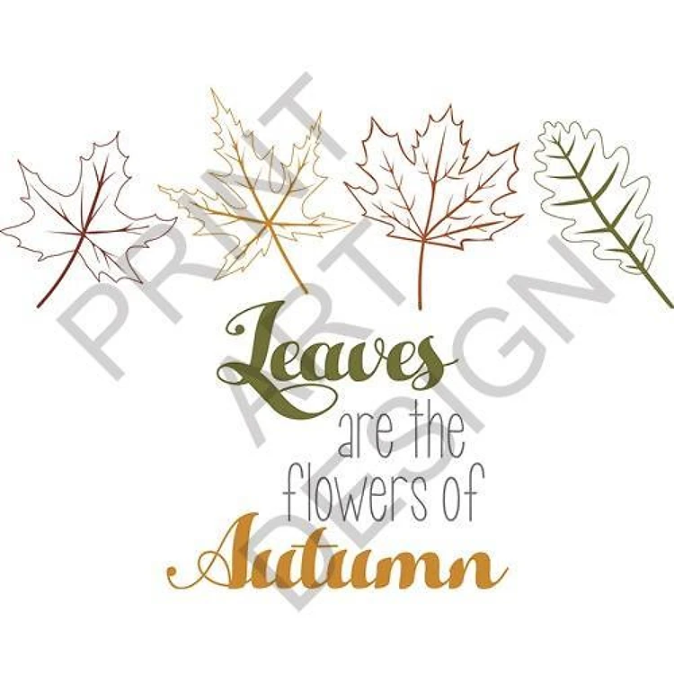 Flowers Of Autumn
