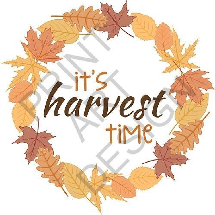 Harvest Time