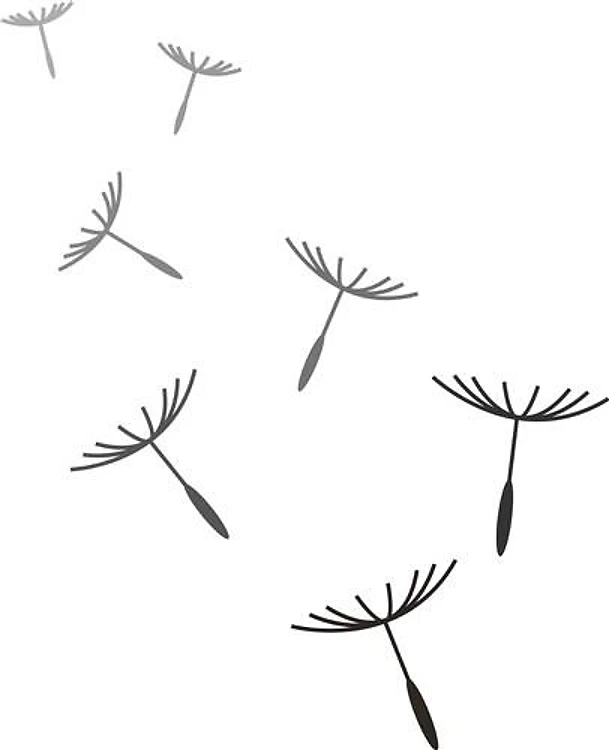Dandelion Floaties