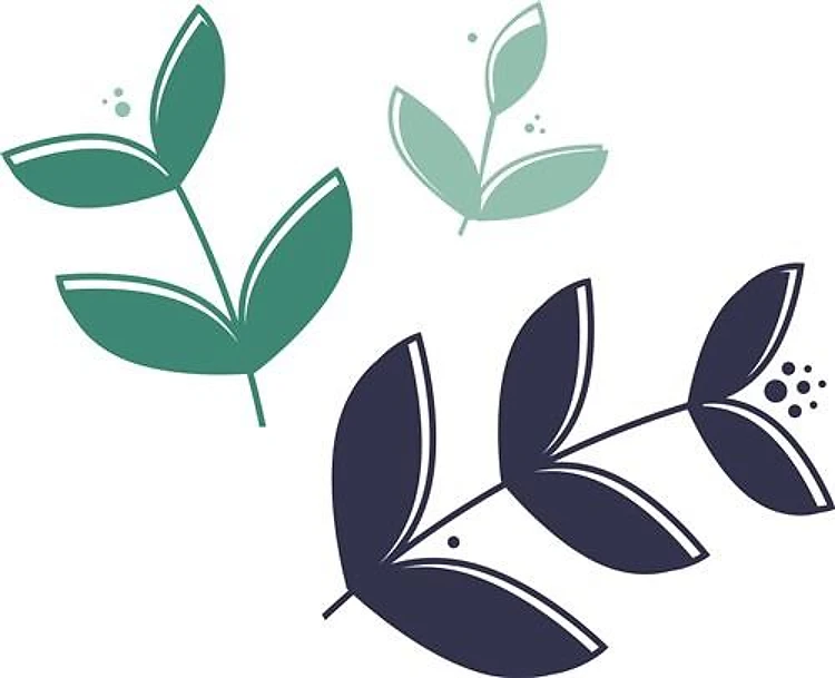 Leaf Branches