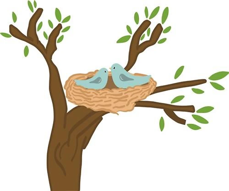 Bird Nest in Tree