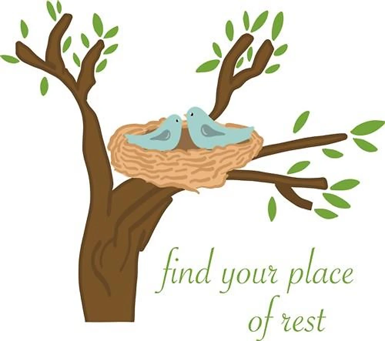Bird Nest in Tree