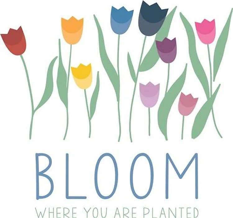 Tulip Border In Bloom