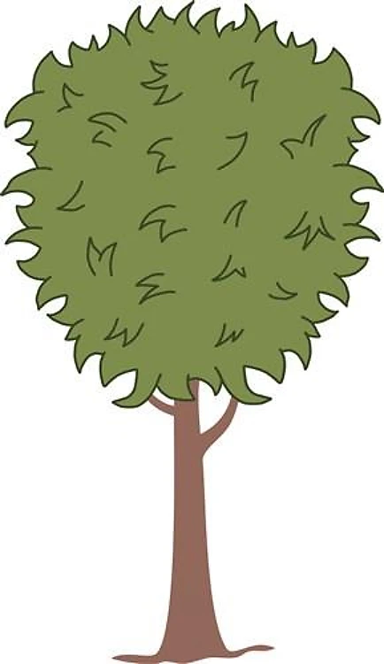 Arbor Tree