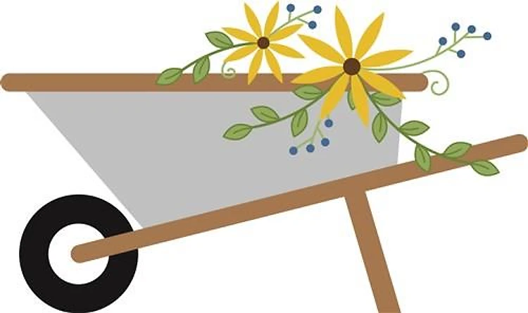 Wheel Barrow With Daisies