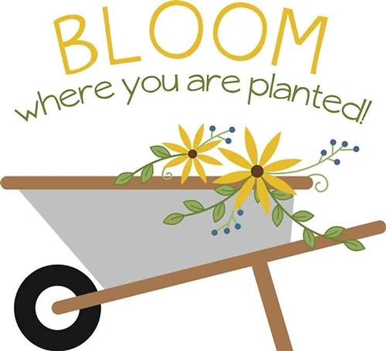 Bloom Where Planted