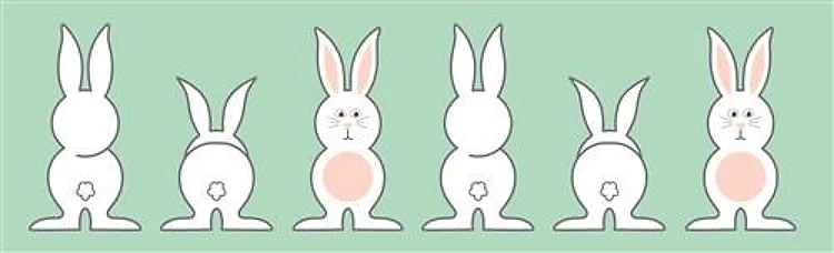 Bunny Outline Border