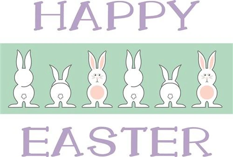 Bunny Outline Border