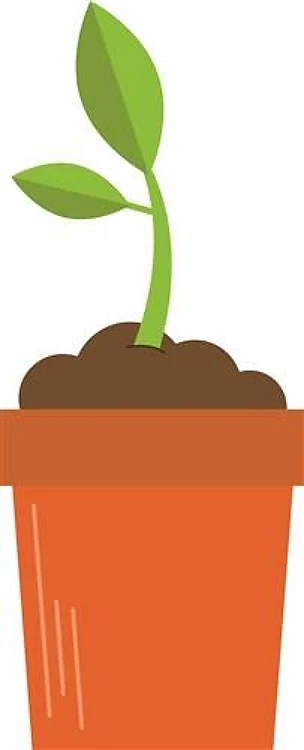 Plant Pot Seedling