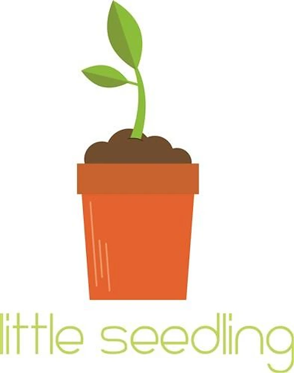 Little Seedling
