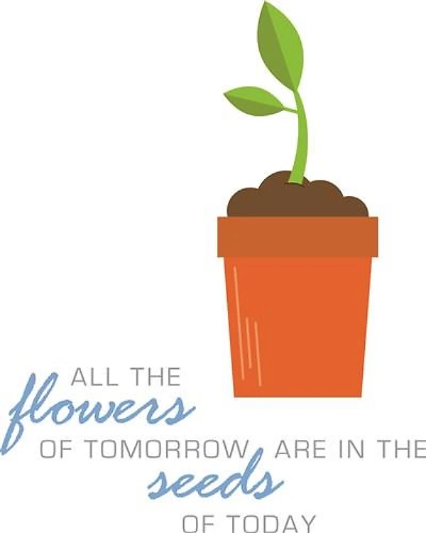 Plant Pot Seedling