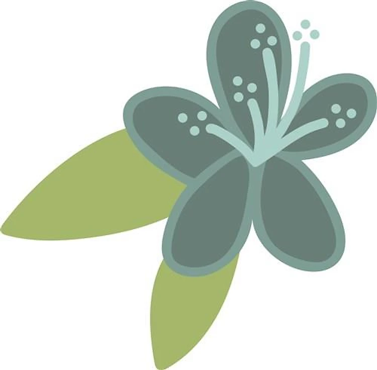 Mothers Day Flower