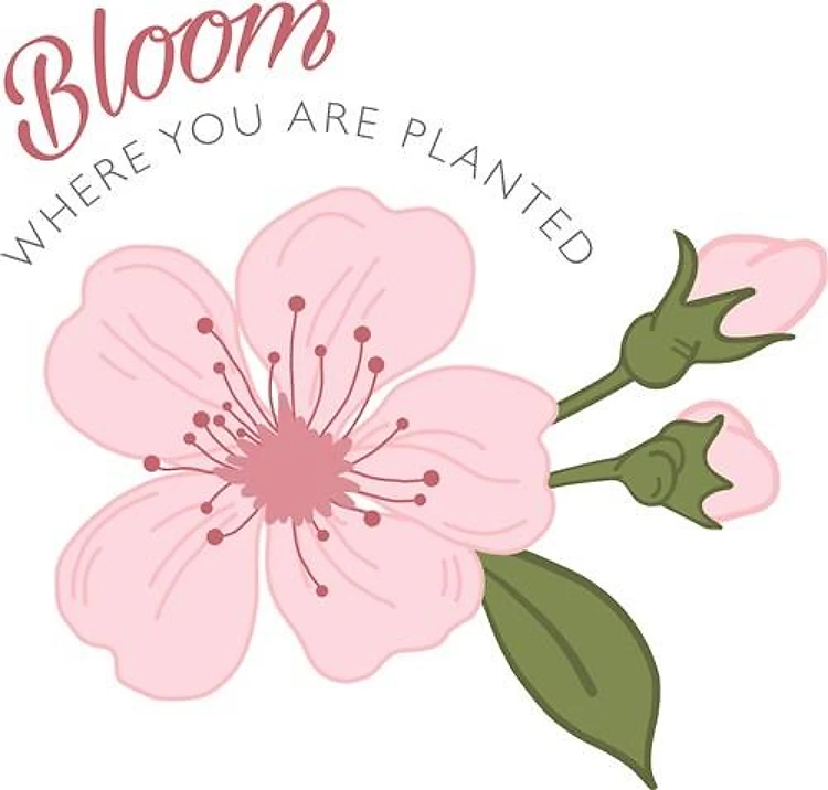 Bloom Where You Are Planted