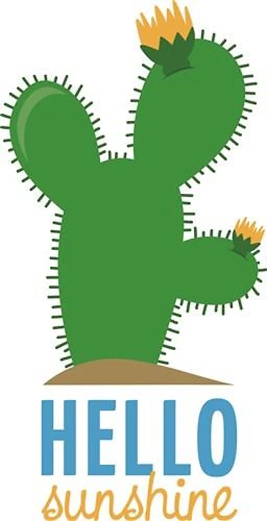 Blooming Cactus Hello Sunshine