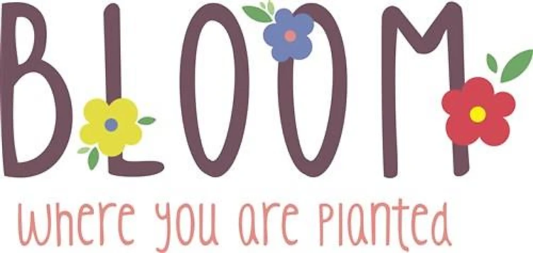 Bloom Where Youre Planted