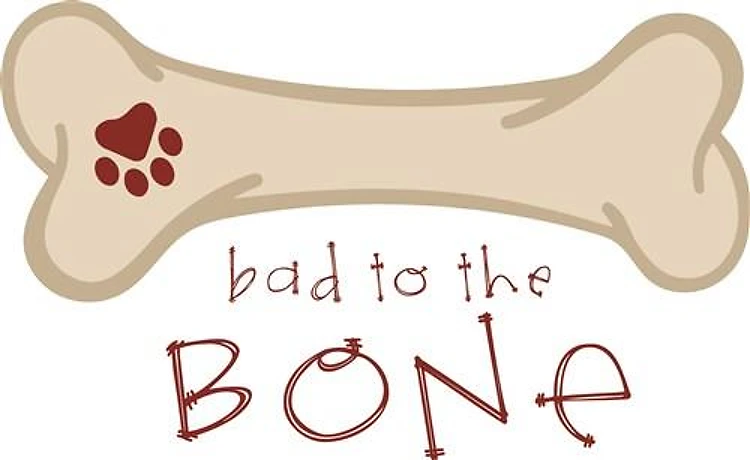 Bad To The Bone