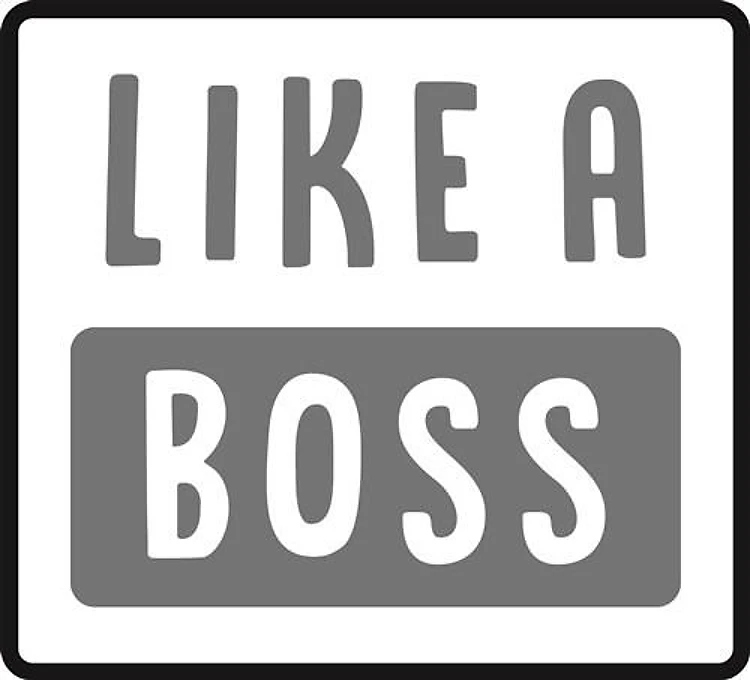 Like A Boss