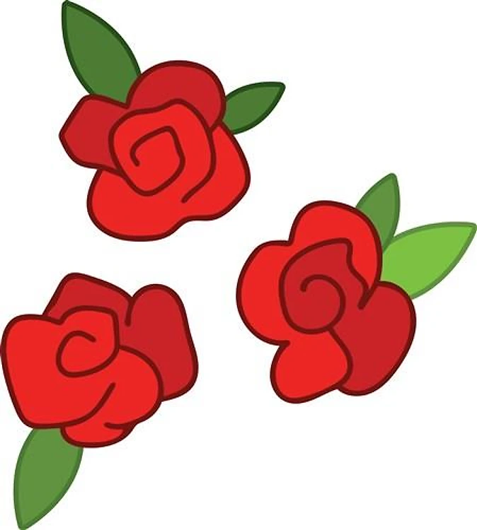 Rose Blooms