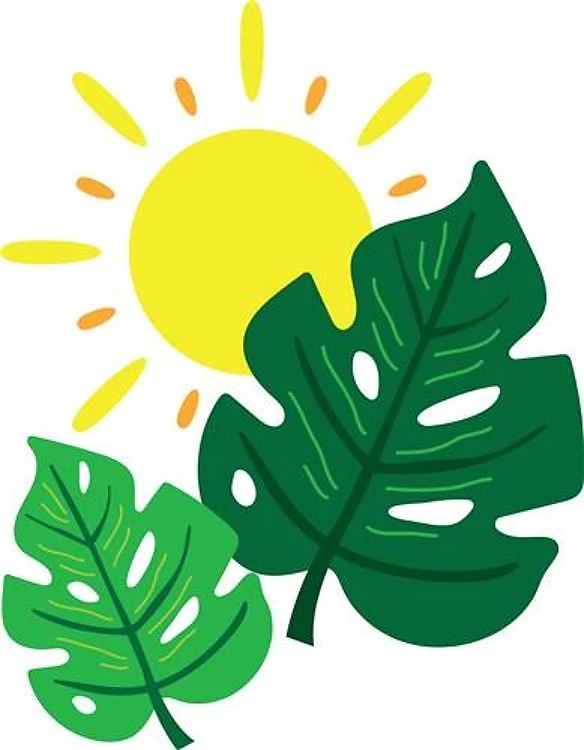 Tropical Leaves