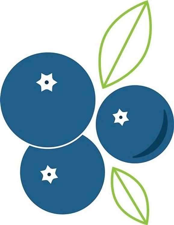 Blueberry Bunch