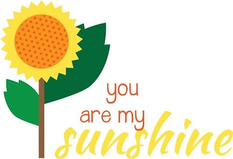 You Are My Sunshine Sunflower
