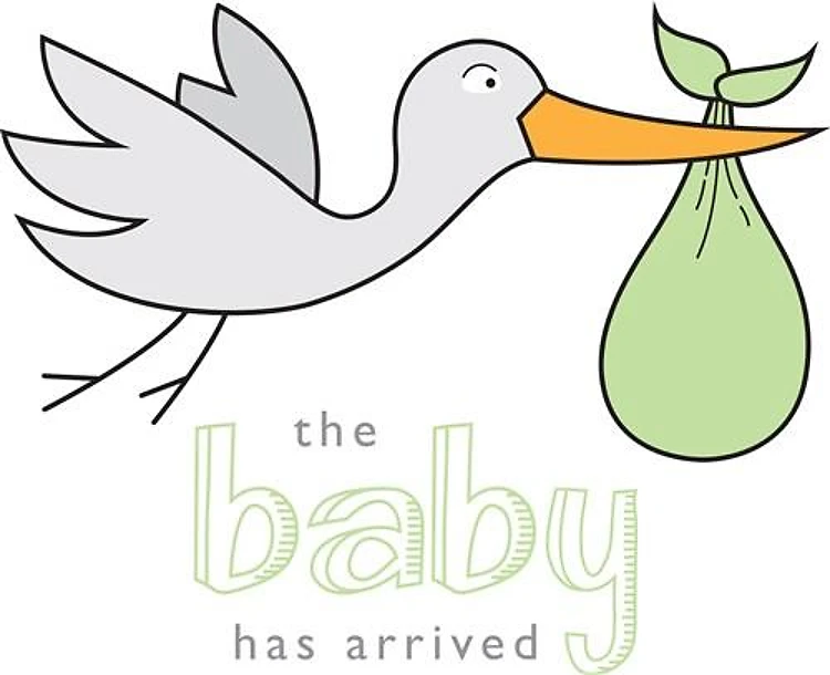 The Baby Has Arrived Stork