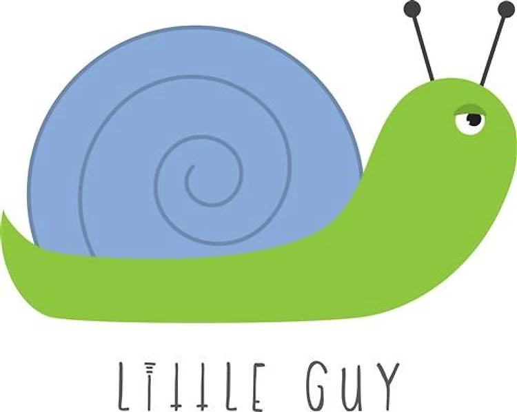 Little Guy
