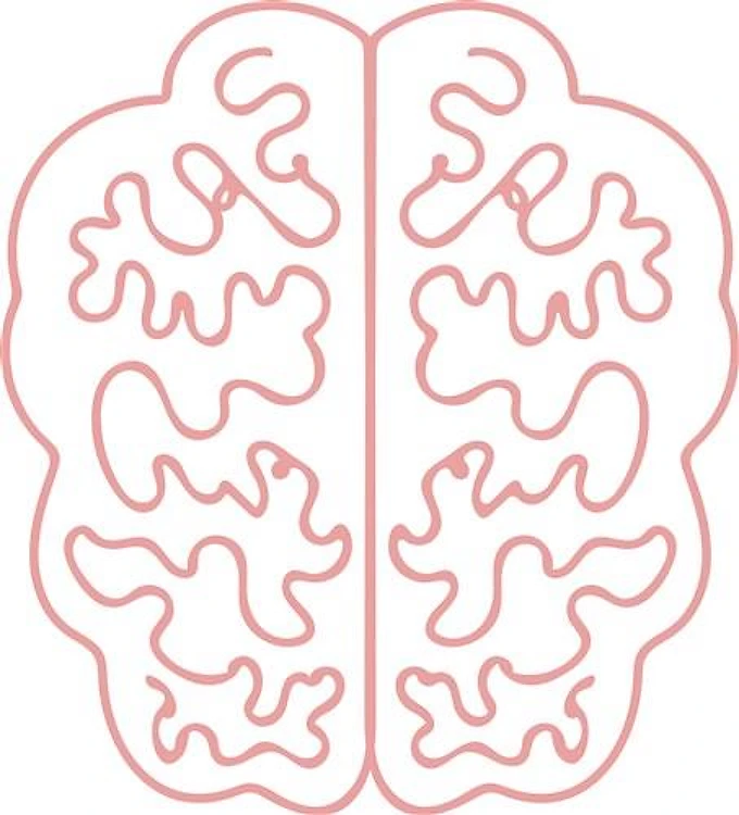 Brain