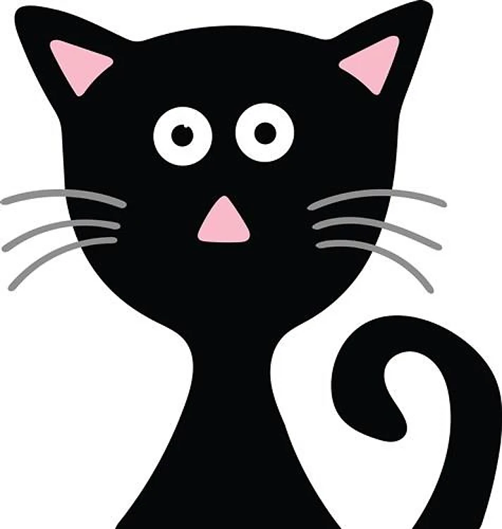 Cute Black Cat