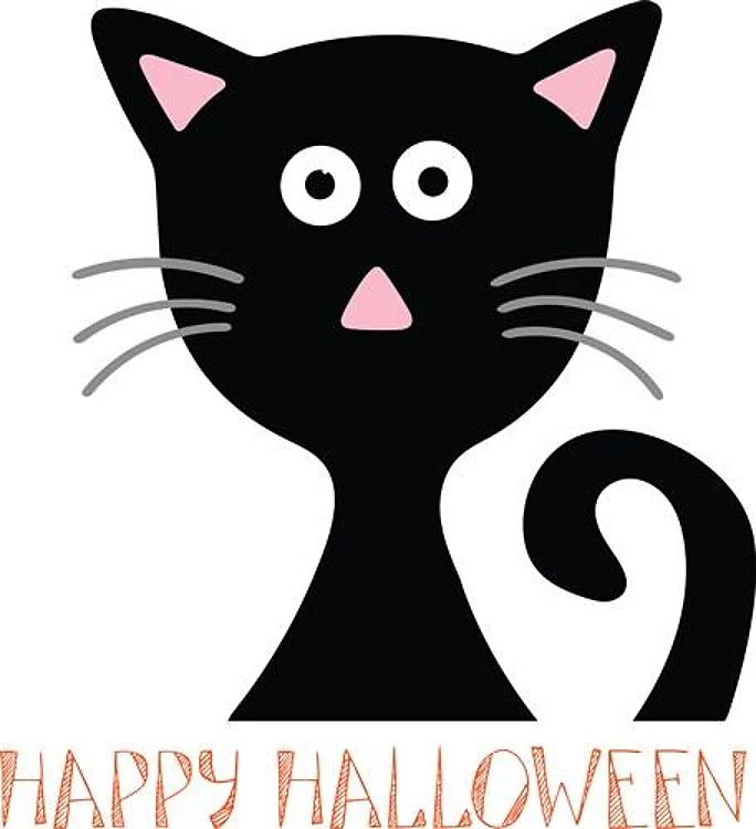 Cute Black Cat
