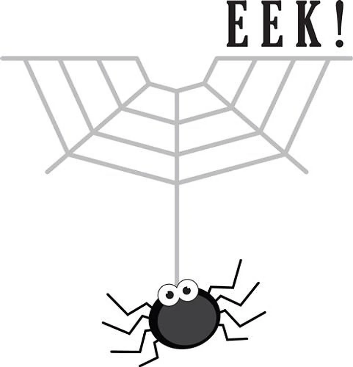 Spider Web Half