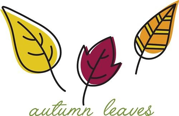Fall Leaves