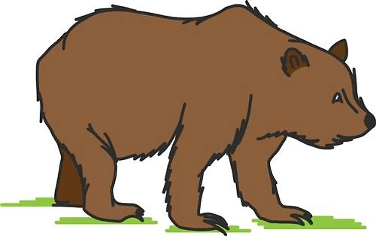 Brown Bear