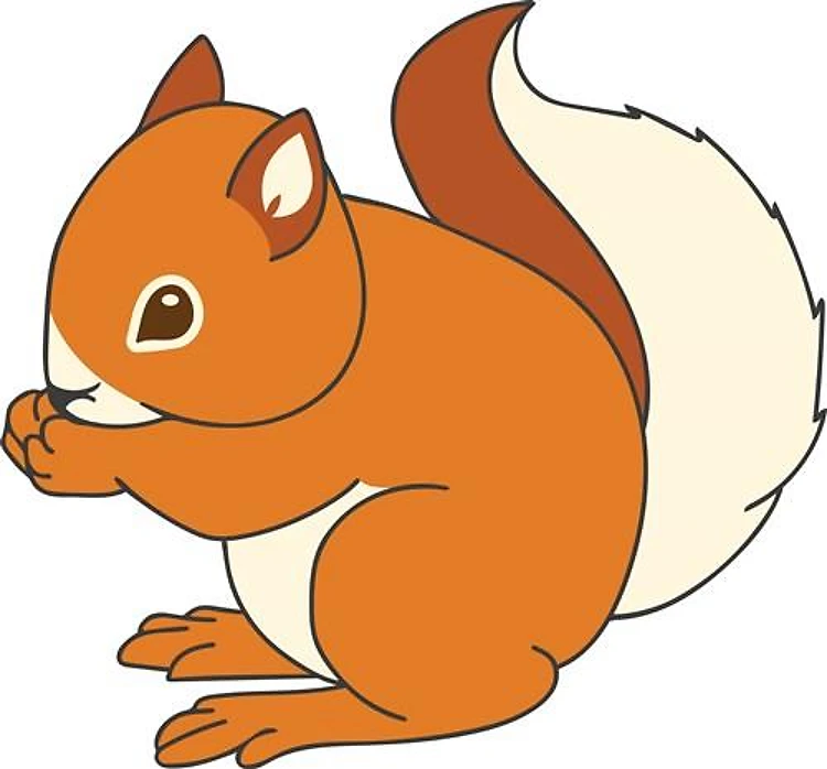 Squirrel