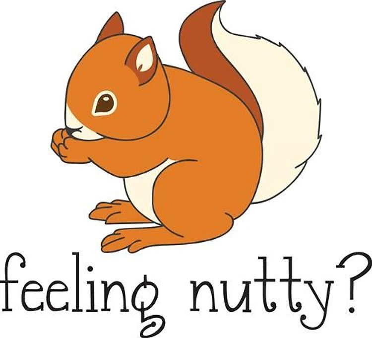 Feeling Nutty Squirrel
