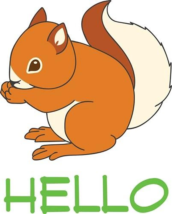 Squirrel
