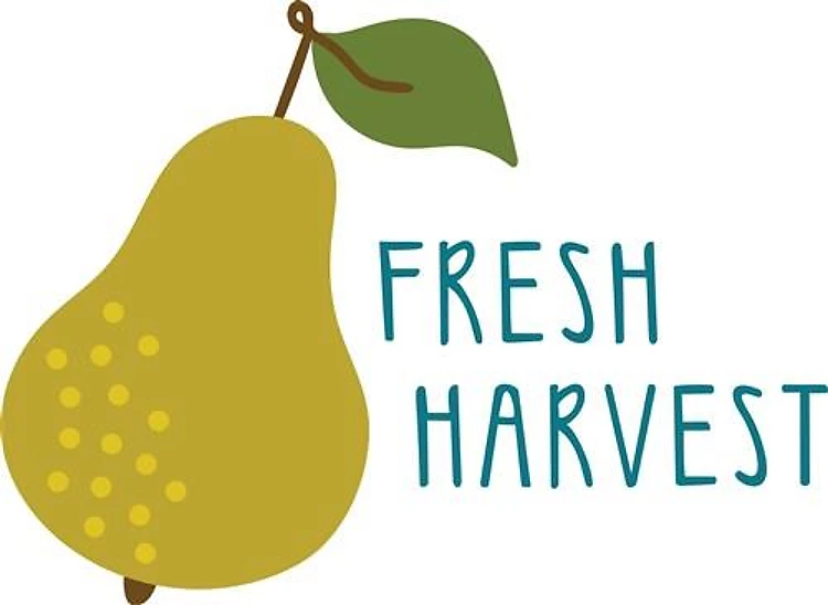 Harvest Pear