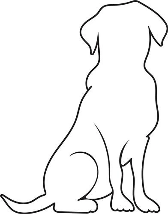 Dog Outline