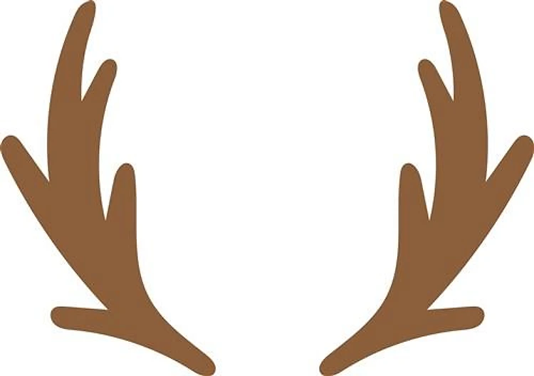 Deer Antlers