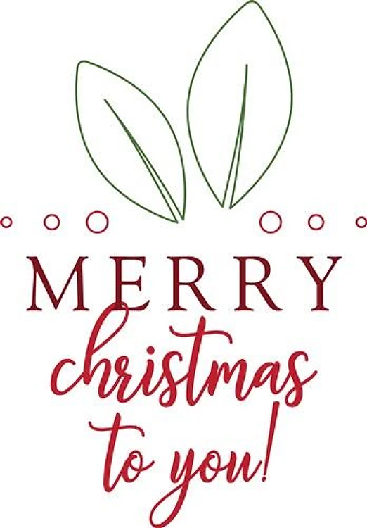 Merry Christmas To You
