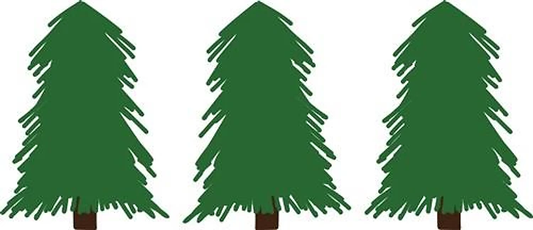 Pine Trees