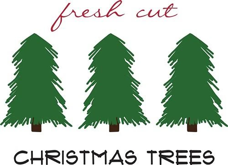 Fresh Cut Trees
