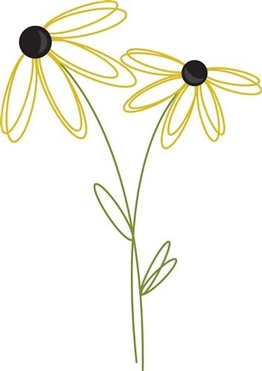 Sketched Daisies