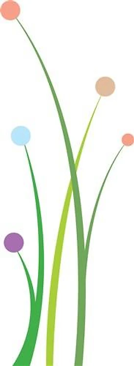 Spring Flowers