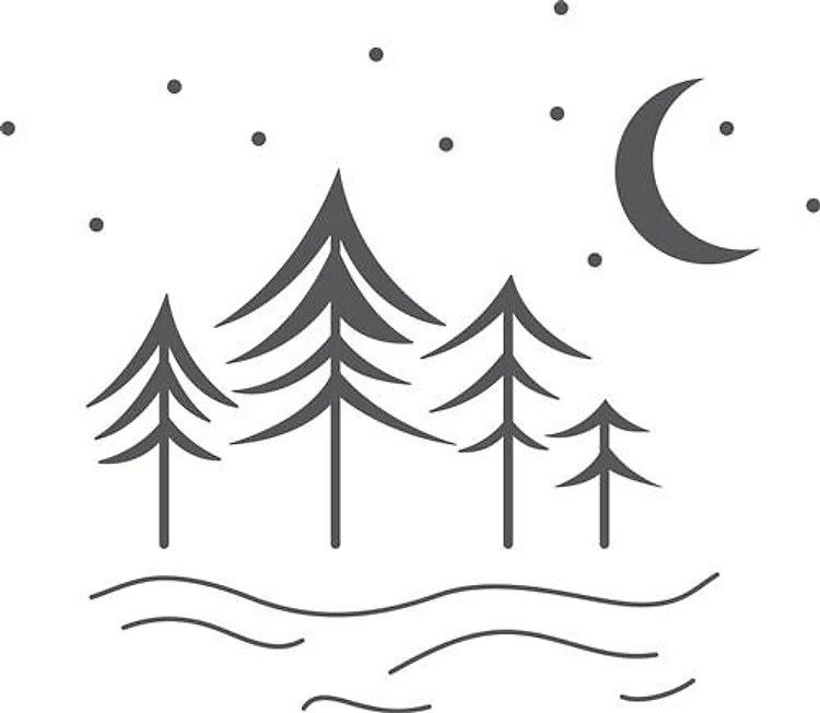Forest Scene