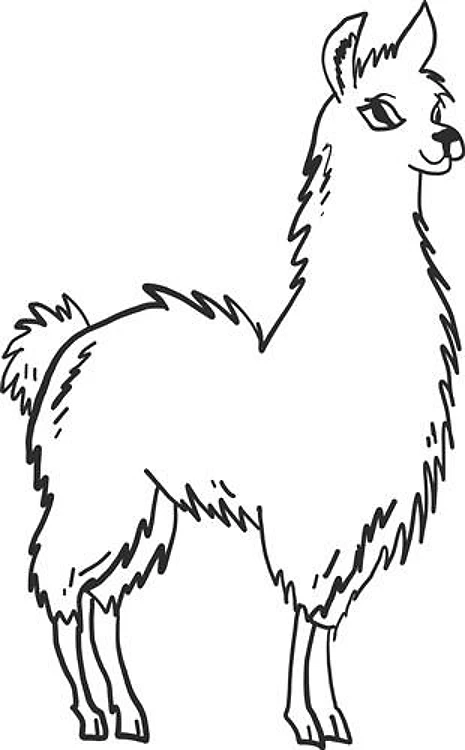Llama Outline