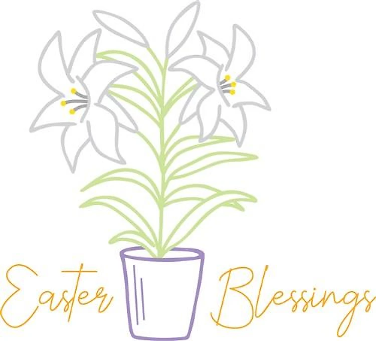 Easter Lily